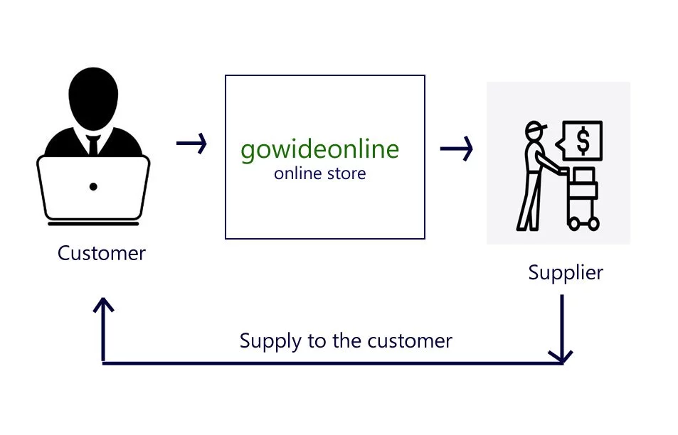 dropshipping business model
